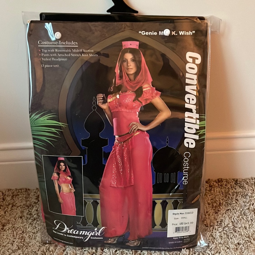 Genie Dreamgirl Costume